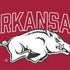 University of Arkansas-Fayetteville Razorbacks Logo Nintendo 2DS XL (2017) Skin